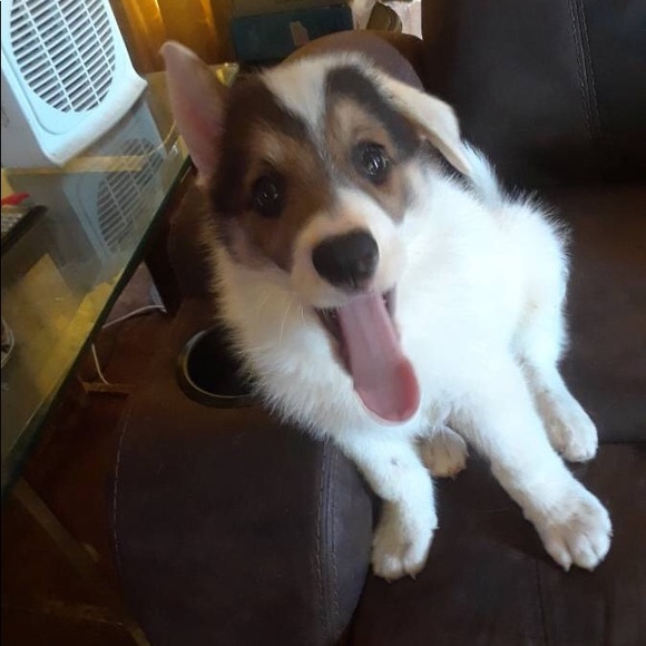 ⚖️ - Picture 2 of 2